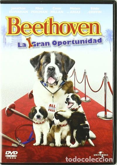 Cine: Beethoven 6: La Gran Oportunidad- 5050582574784