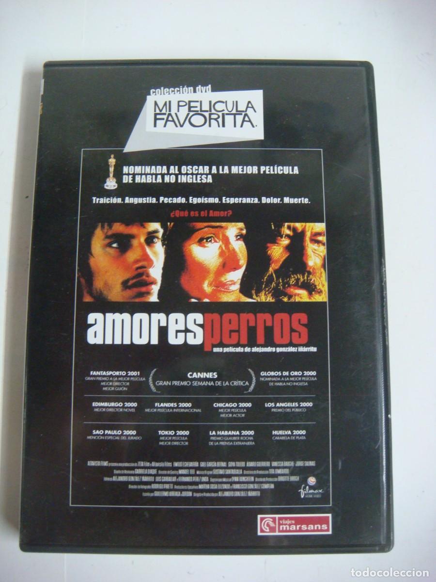 Kino: D.V,D.-DE AMORESPERROS-CAJ-N&ordm;.6
