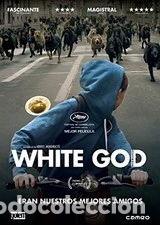 Cinema: White God- 8436540908193