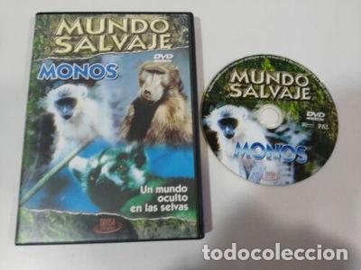 Cinema: Monos. Un mundo oculto en las selvas- 8421394507524
