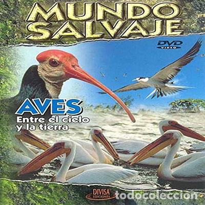 Kino: Mundo Salvaje DVD Aves- 8421394507548