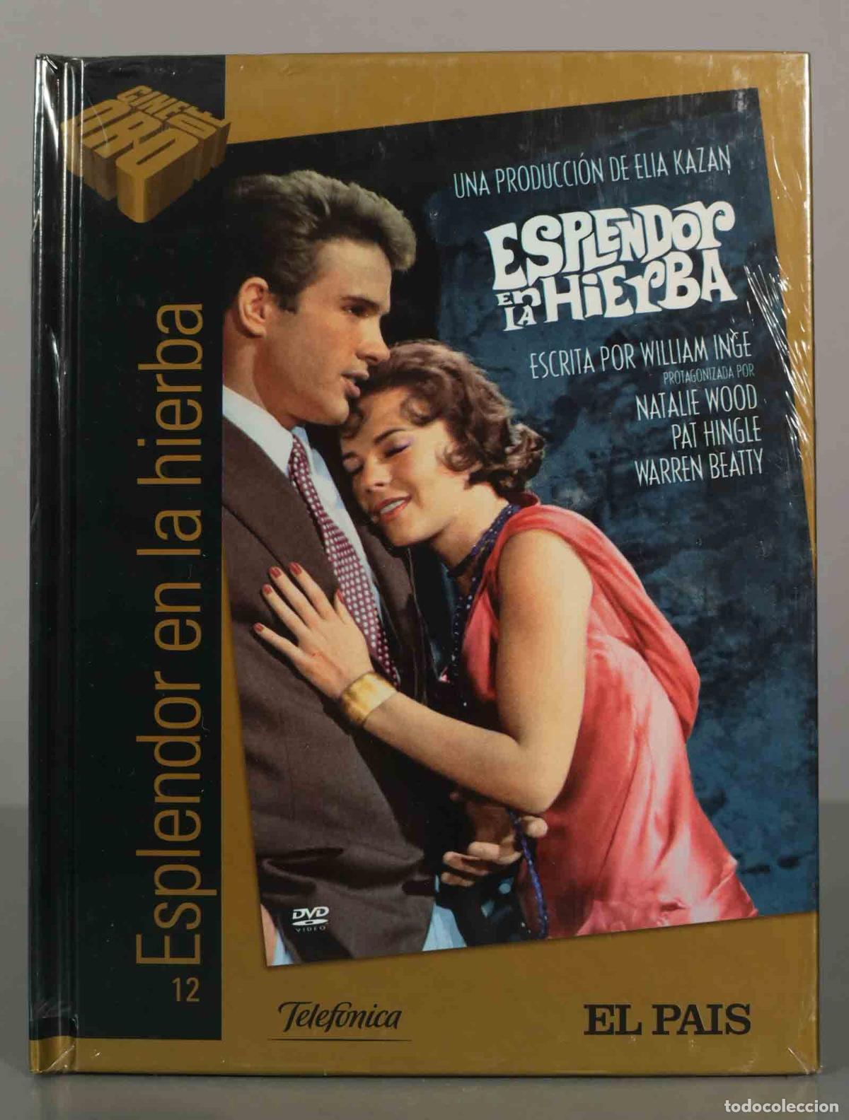 Cine: DVD. ESPLENDOR EN LA HIERBA. PRECINTADO