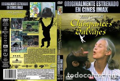 Kino: Jane Goodall presenta: Chimpanc&eacute;s Salvajes- 8431797101670