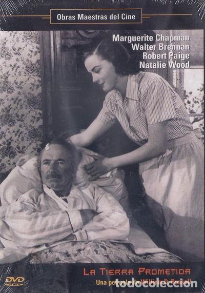 Kino: La tierra prometida- 8436022332935