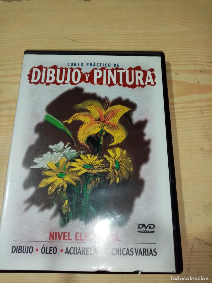 Cine: CURSO PRACTICO DE DIBUJO Y PINTURA. NIVEL ELEMENTAL. DIBUJO OLEO. ACURELA. TECNICAS VARIAS. C14DVD