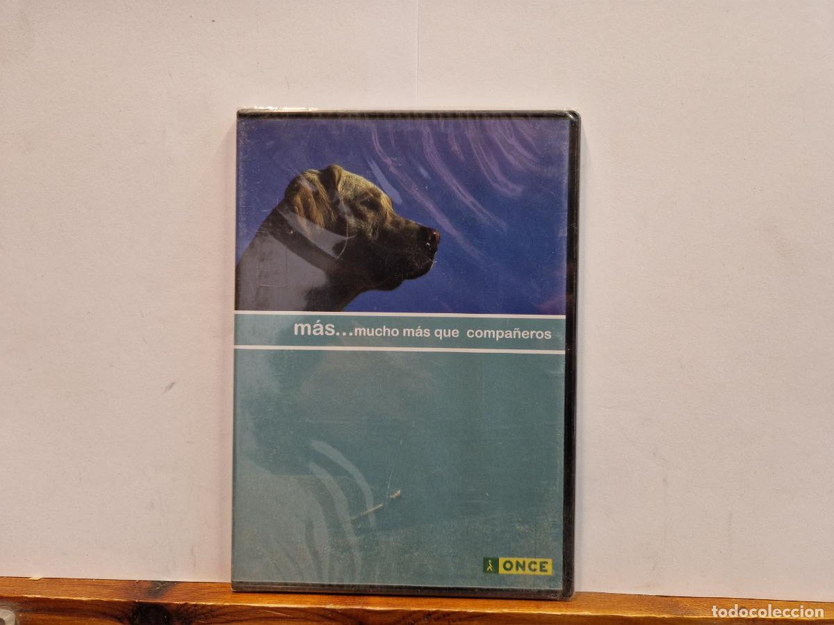 Cinema: DVD. MAS... MUCHI MAS QUE COMPA&Ntilde;EROS.