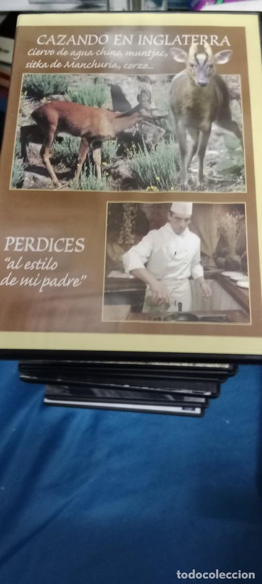 Cinema: CAZANDO EN INGLATERRA DVD L-HC