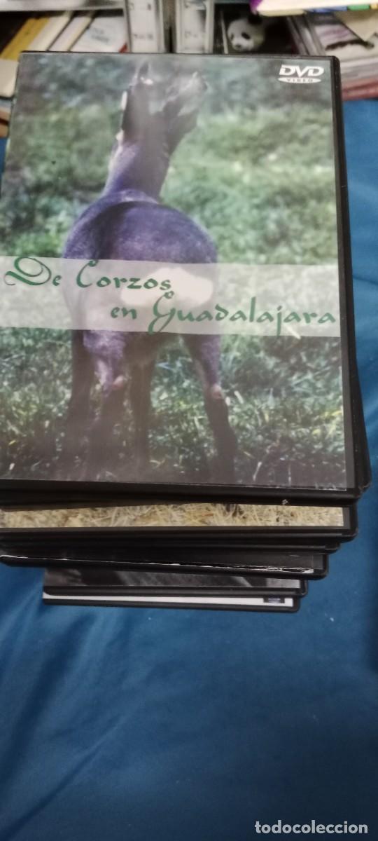 Cinema: DE CORZOS EN GUADALAJARA DVD L-HC