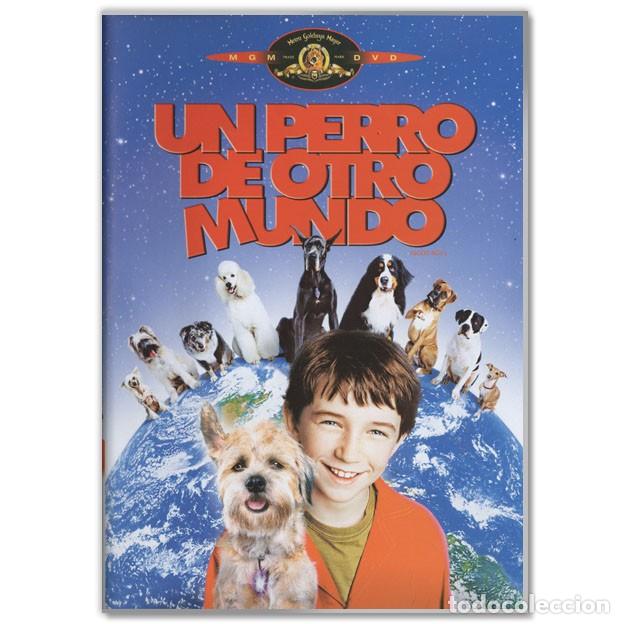 Cinema: UN PERRO DE OTRO MUNDO DVD (Aventuras, Fant&aacute;stico, Cine Familiar)