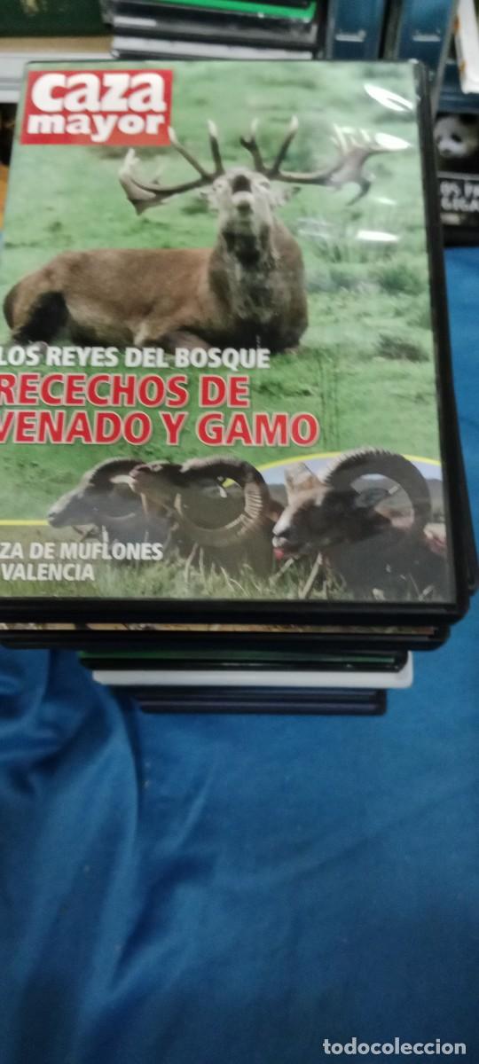 Cinema: LOS REYES DEL BOSQUE DVD L-HC