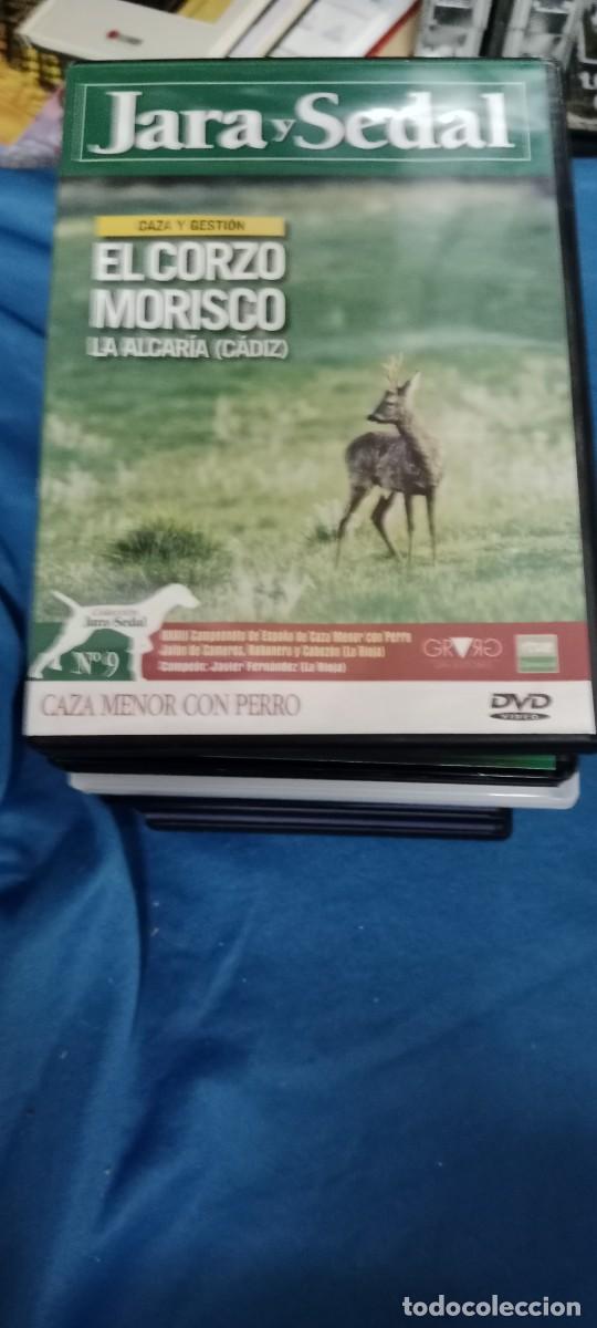 Cinema: JARA Y SEDAL EL CORZO MORISCO DVD L-HC