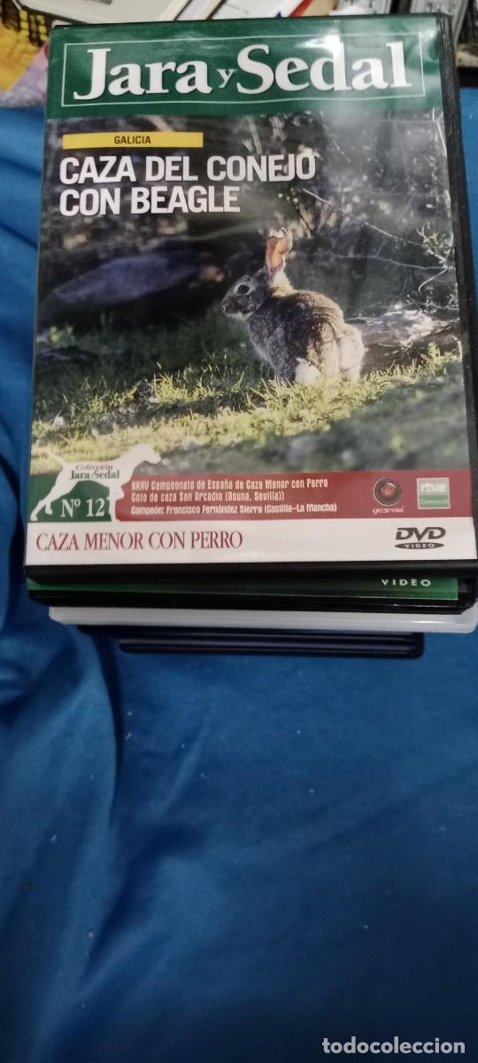 Cinema: JARA Y SEDAL CAZA DEL CONEJO CON BEAGLE DVD L-HC