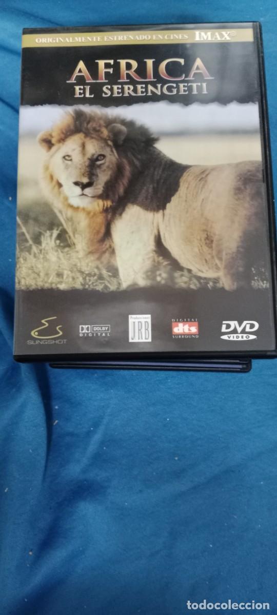 Cinema: AFRICA EN SERENGETI DVD L-HC