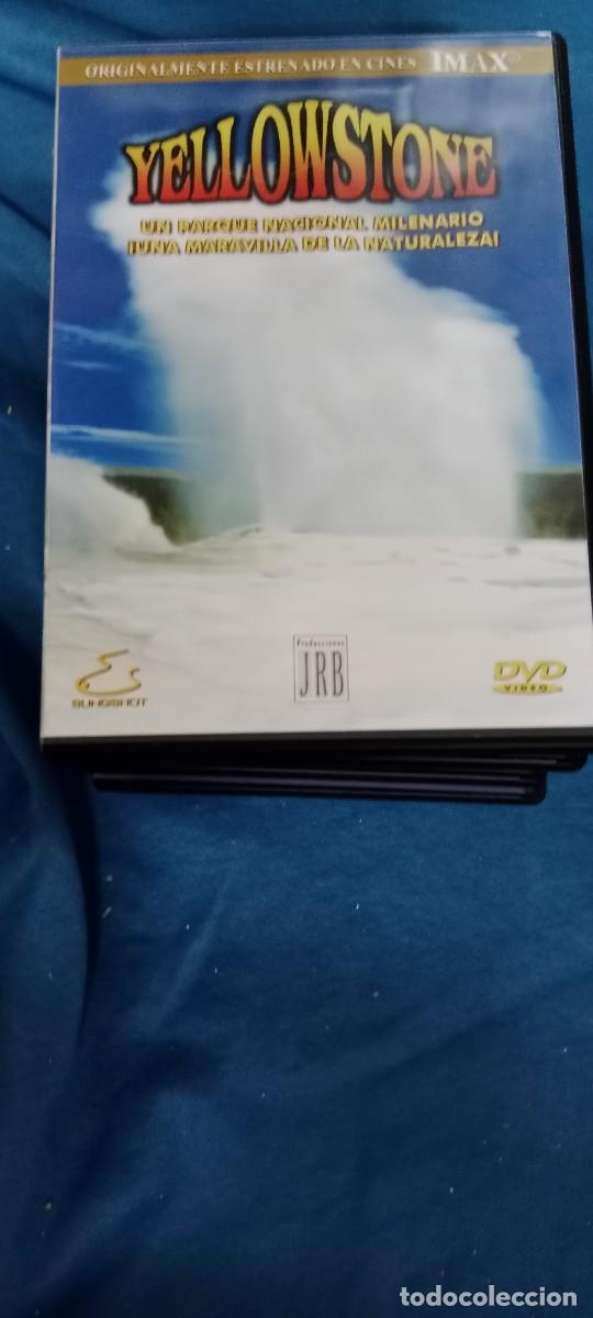 Cinema: YELLOGSTONE CINE IMAX DVD L-HC