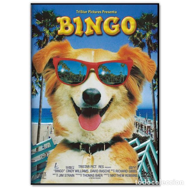 Kino: BINGO DVD (Aventuras, Cine Familiar)