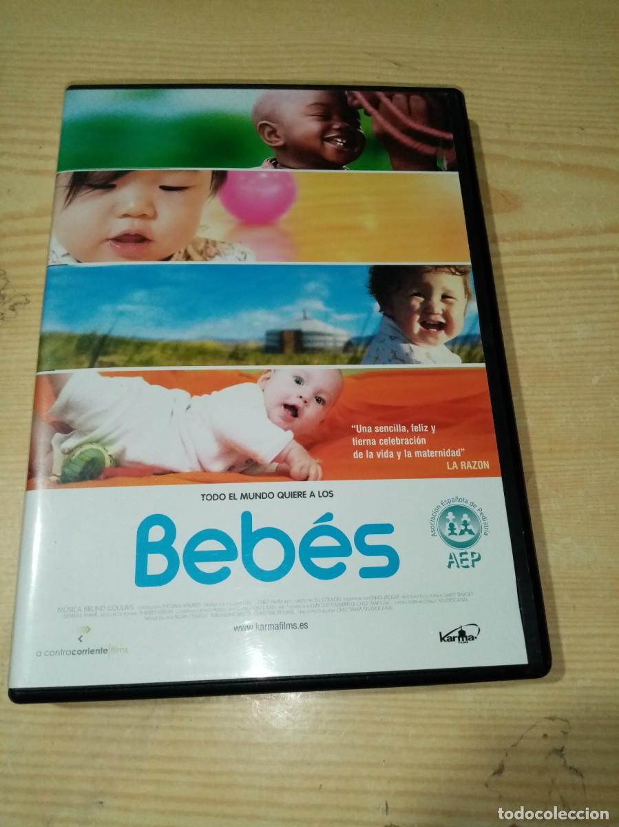 Cine: DVD. TODO EL MUNDO QUIERE A LOS BEBES . C18DVD