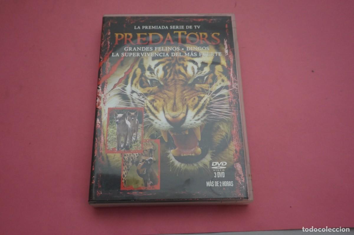 Kino: 0/ DVD - PREDATORS - GRANDES FELINOS - DINGOS LA SUPERVIVENCIA DEL MAS FUERTE - 3 DVDS
