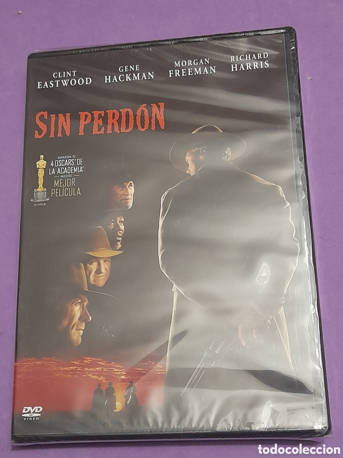 Cine: Pelicula en DVD, sin perd&oacute;n - Foto 1