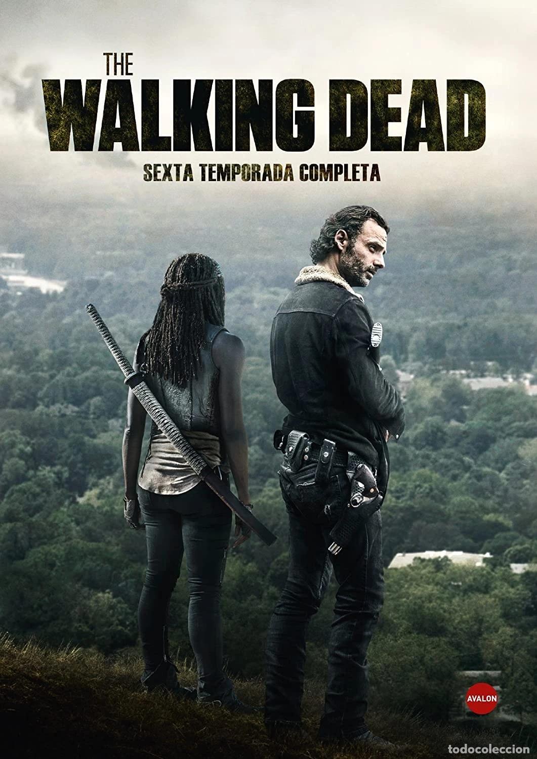 Cinema: The Walking Dead - Temporada 6 [5 DVDs]