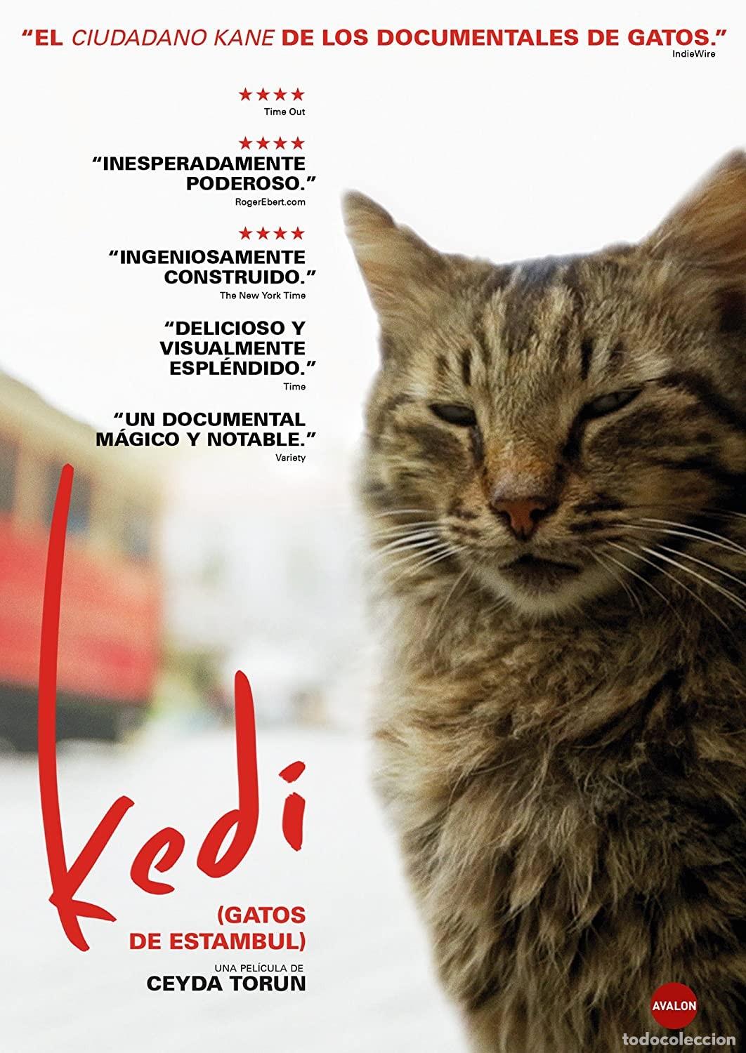 Cin&eacute;ma: Kedi (Gatos de Estambul) [DVD]