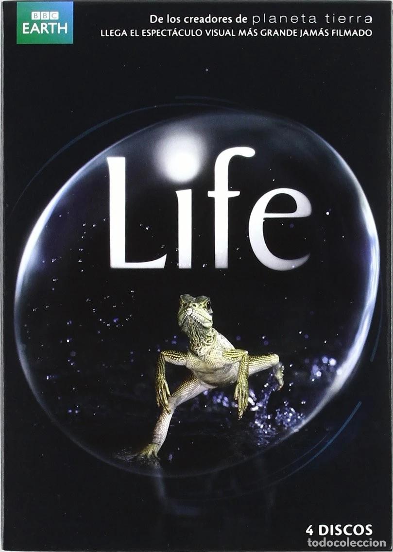 Kino: Life [DVD]