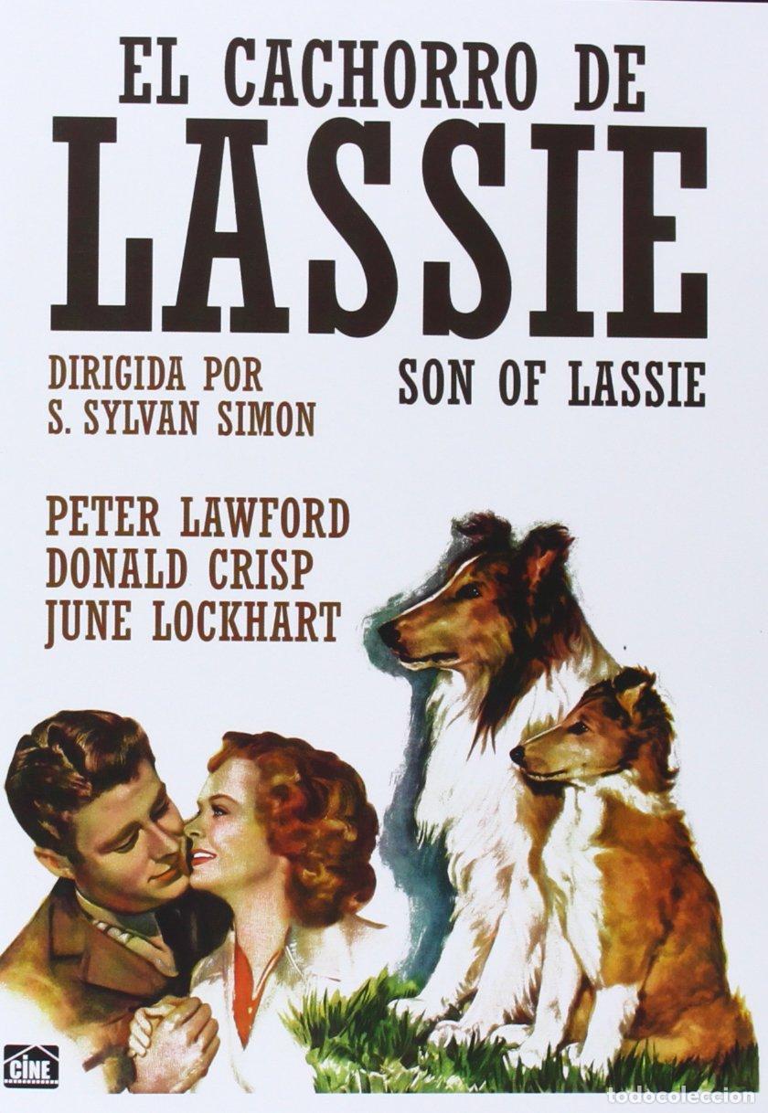 Cine: EL CACHORRO DE LASSIE - DVD - NUEVO