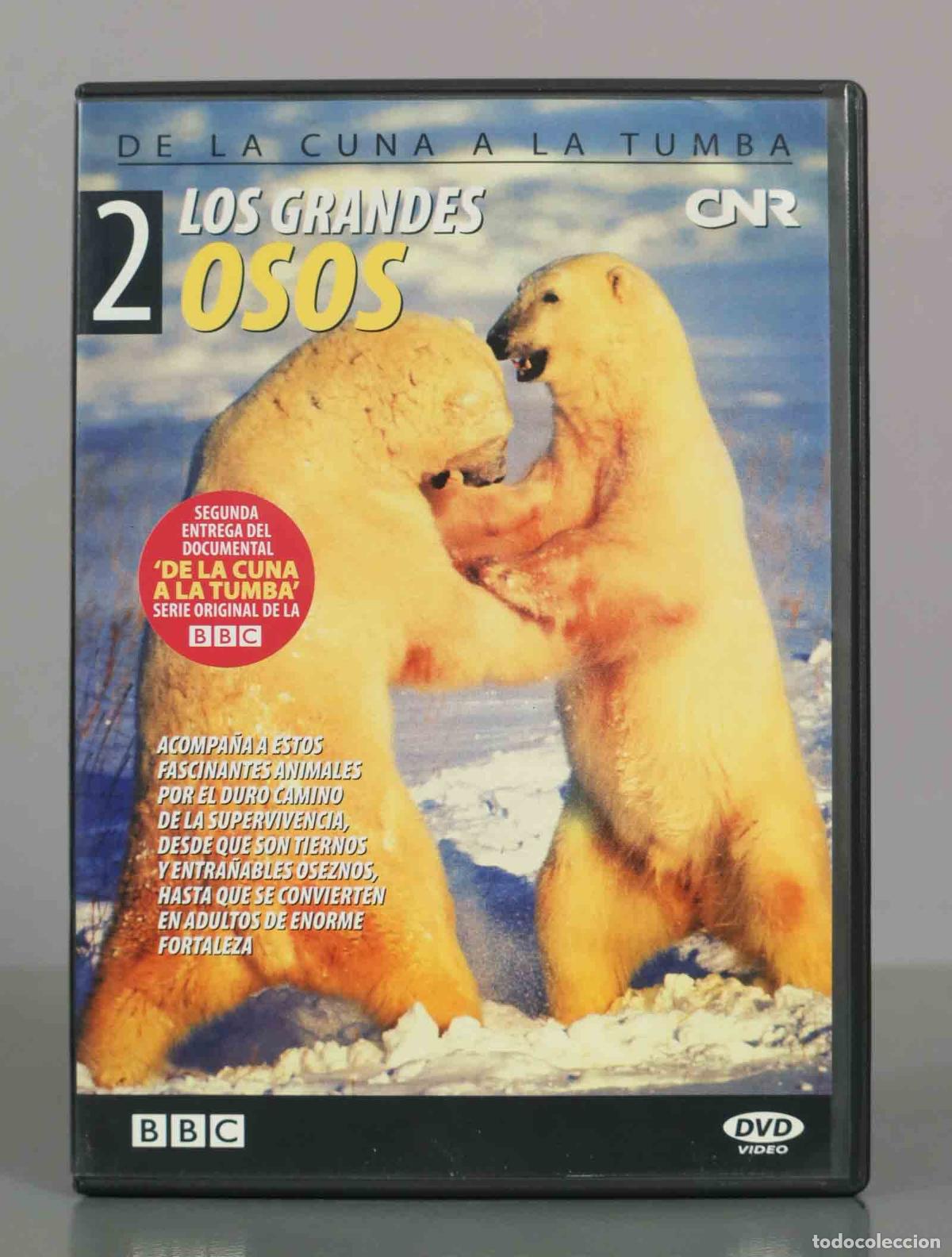 Kino: DVD. Los Grandes Osos - De la cuna a la tumba - BBC