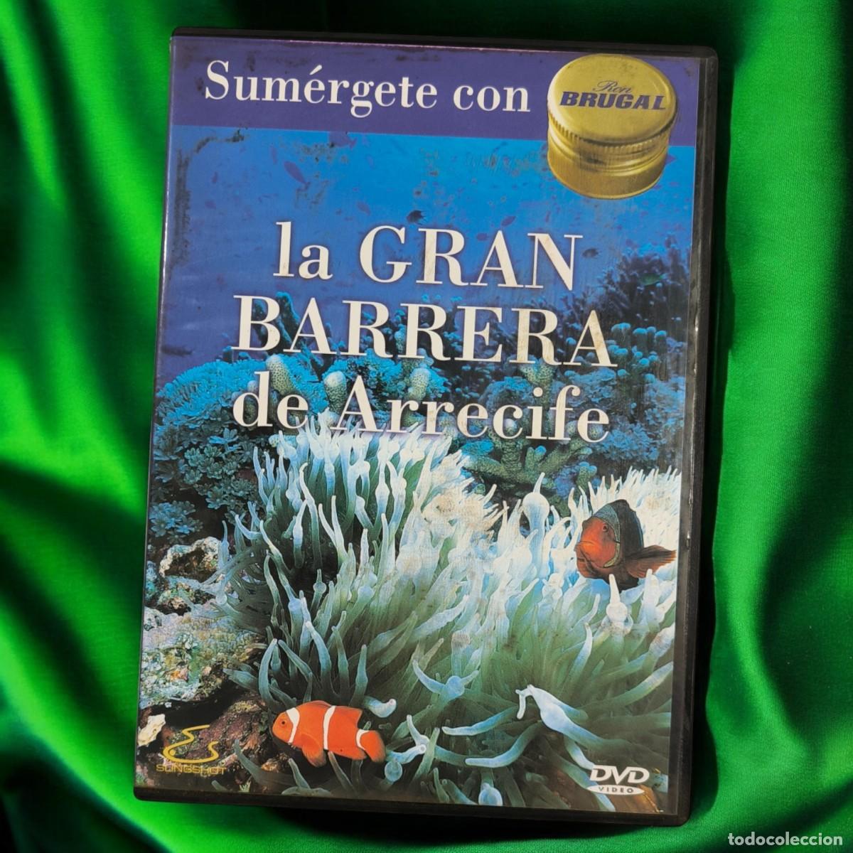 Cine: DVD - Sum&eacute;rgete en la Gran Barrera de Arrecife