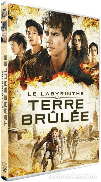 Cine: Le Labyrinthe : La Terre Br&ucirc;l&eacute;e- 3344428061760