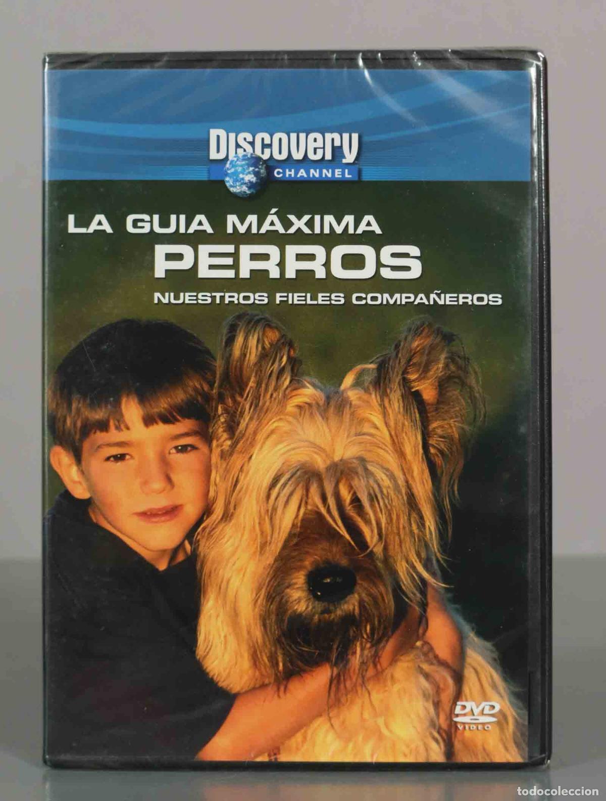 Cinema: DVD. La Gu&iacute;a M&aacute;xima: Perros - Nuestros Fieles Compa&ntilde;eros - Discovery Channel, Ginger Kathr PRECINTAD
