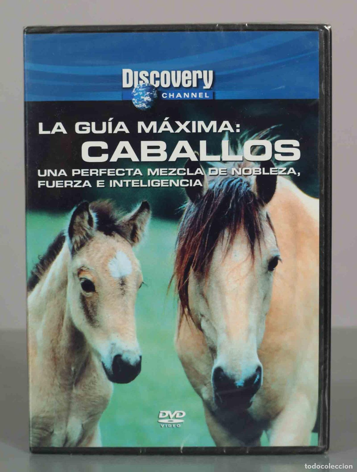Cinema: DVD. La Gu&iacute;a M&aacute;xima: Caballos - Ginger Kathrens PRECINTADO