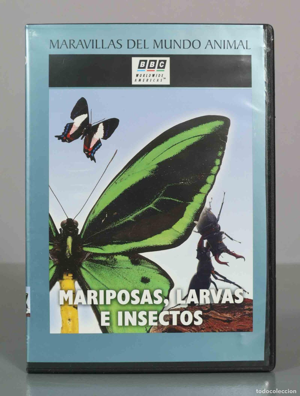 Cine: DVD. Maravillas del Mundo Animal - Mariposas, larvas e insectos - BBC Worldwide Americas