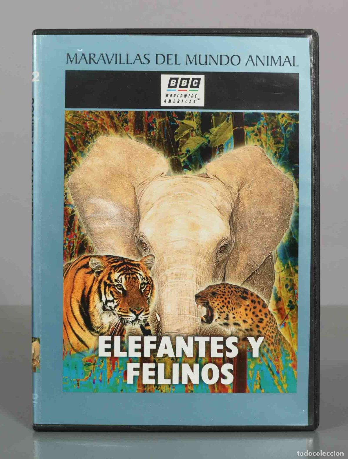 Cine: DVD. Elefantes y Felinos - Dereck Hall, Richard Thomsom, Brian Meehl, Guy Dagul, Bridget Sneyd