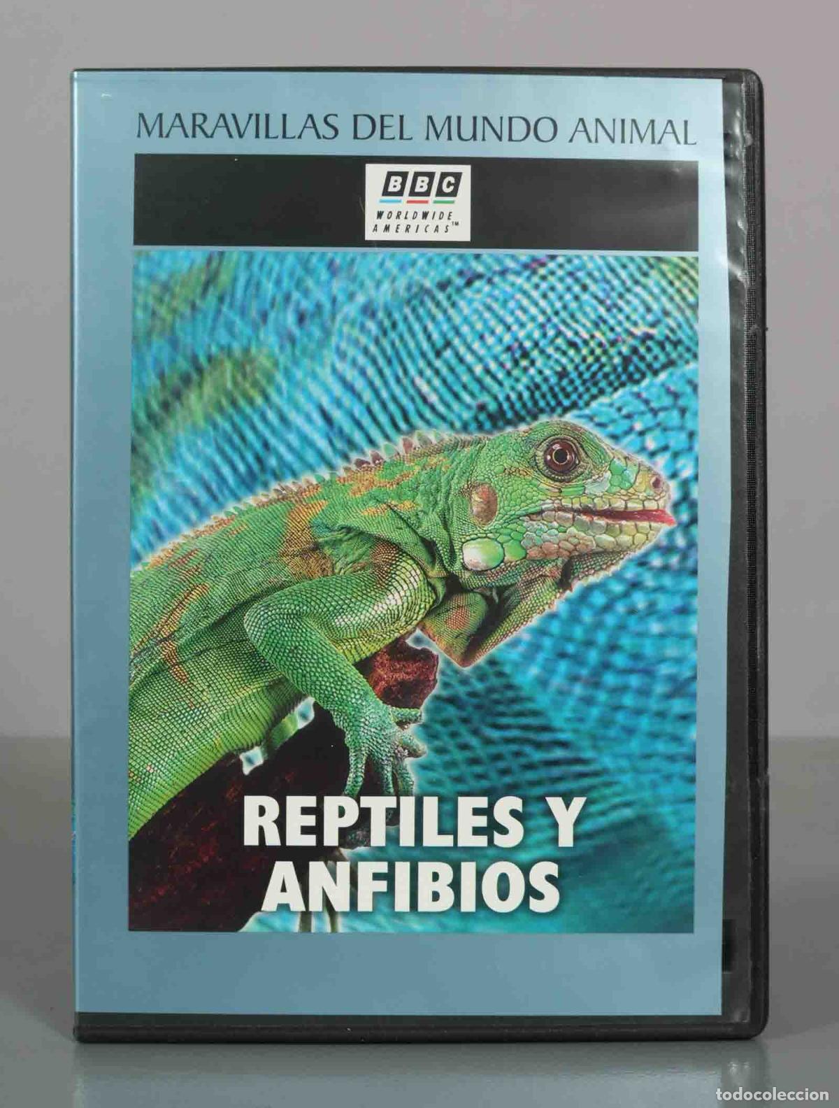 Cine: DVD. Reptiles y Anfibios - Experimenta el Mundo - BBC, El Mundo