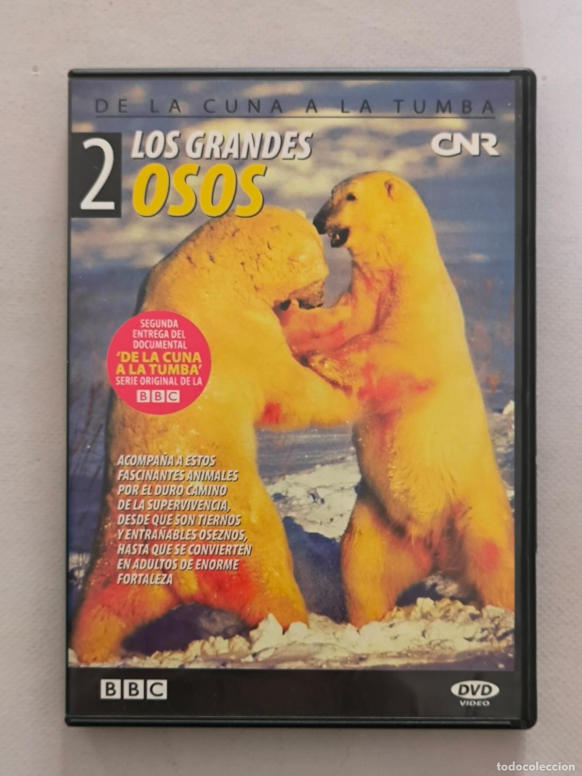 Cine: DVD DE LA CUNA A LA TUMBA N&ordm; 2 - LOS GRANDES OSOS - CNR - BBC (283)
