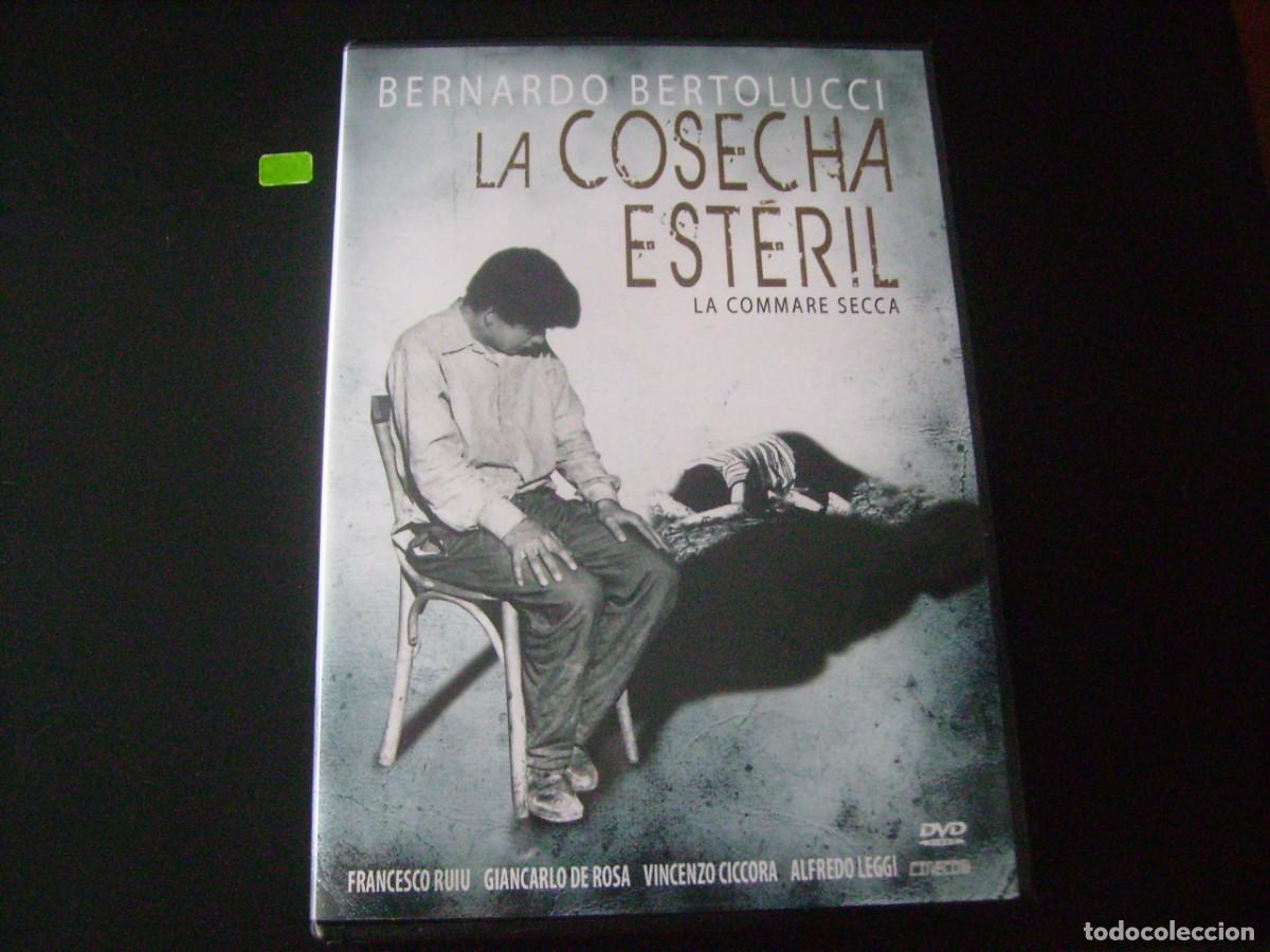Cinema: LA COSECHA ESTERIL - BERNARDO BERTOLUCCI