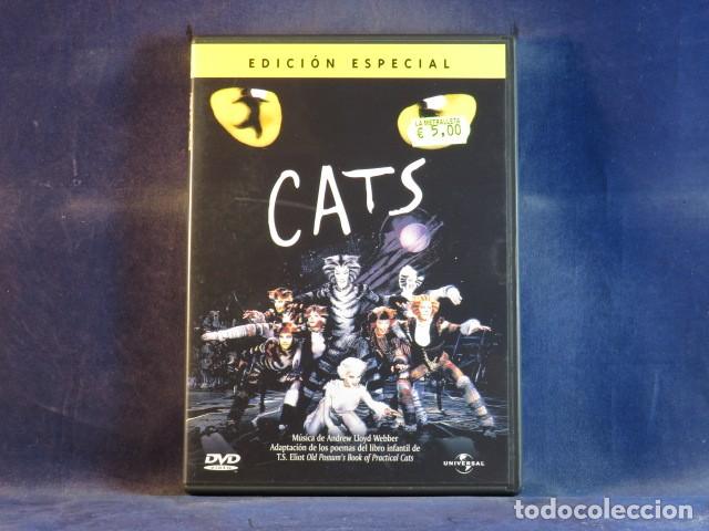 Cine: CATS - EDICI&Oacute;N ESPECIAL - DVD