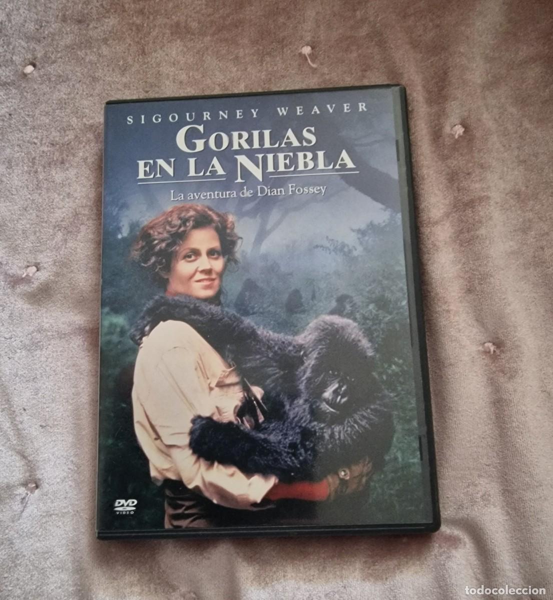 Cinema: GORILAS EN LA NIEBLA DVD-PELICULA