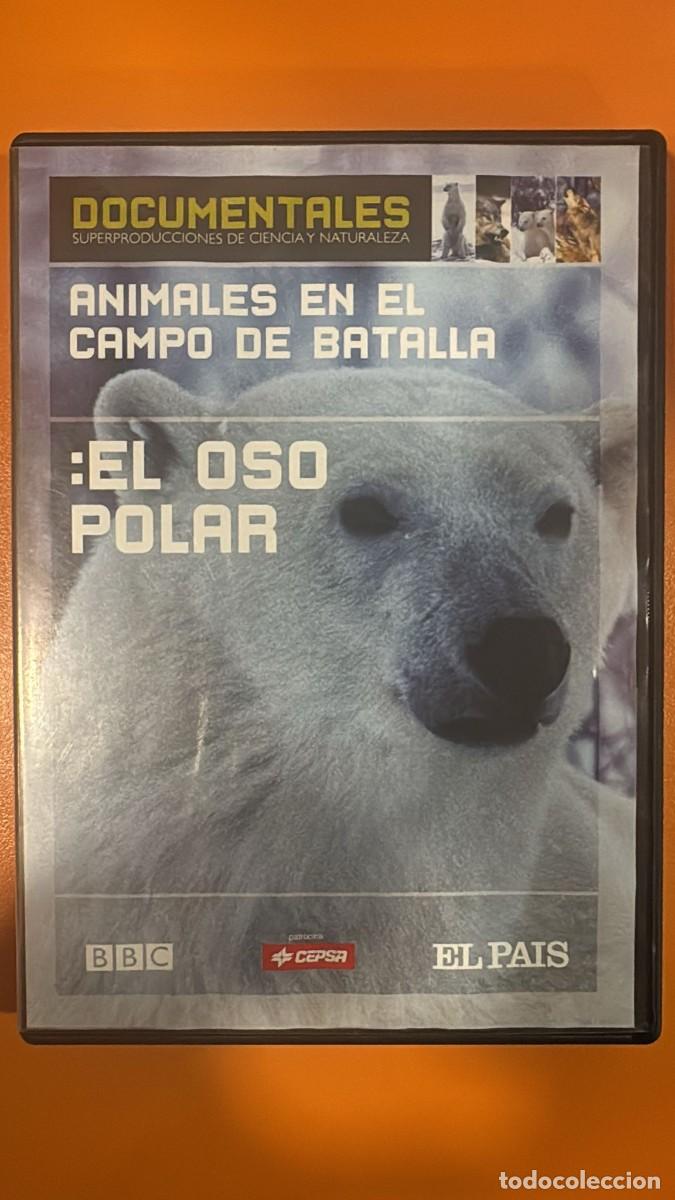 Cine: Animales en el campo de batalla: El Oso Polar