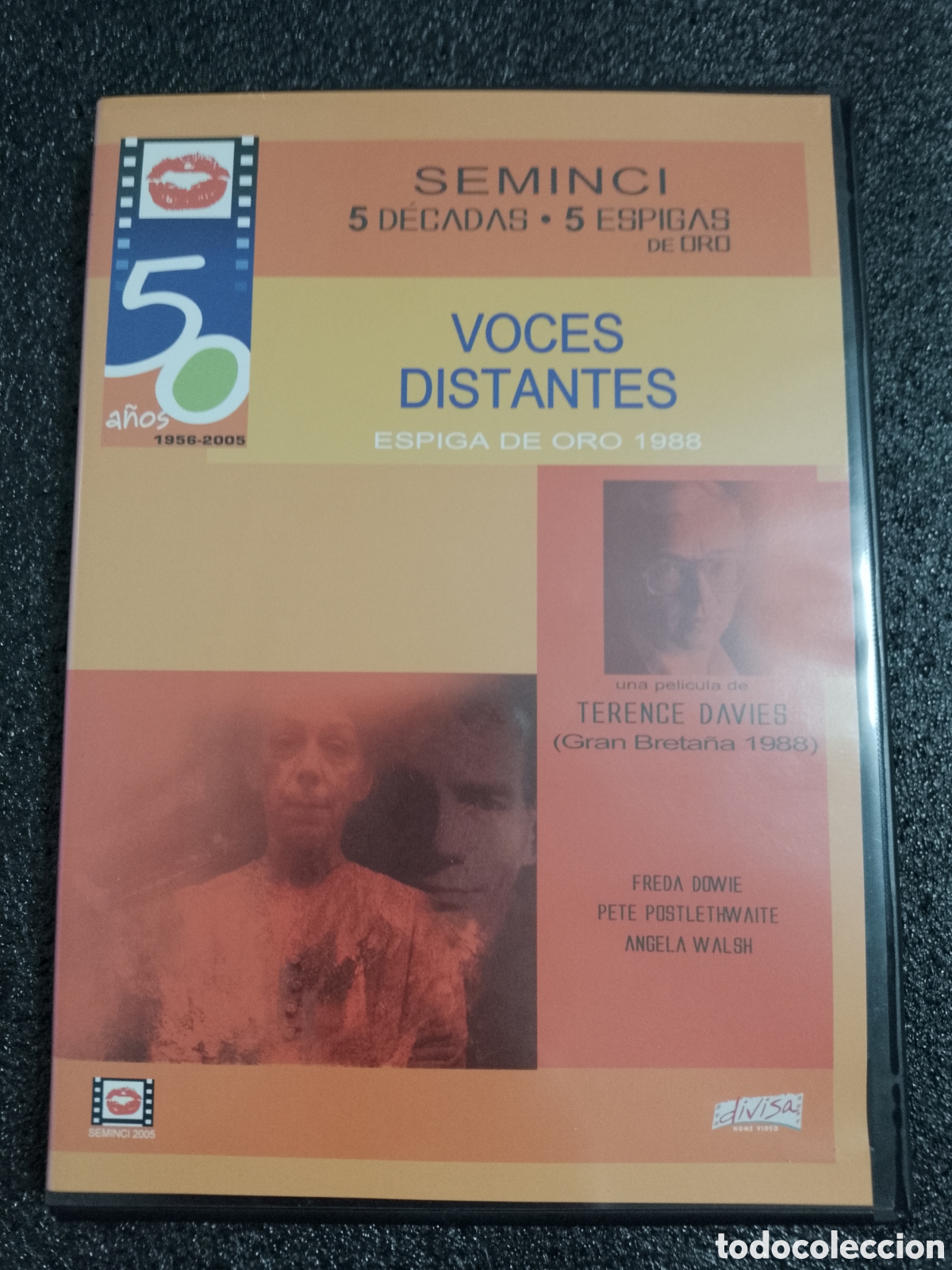 Cine: VOCES DISTANTES - DE TERENCE DAVIES - DVD