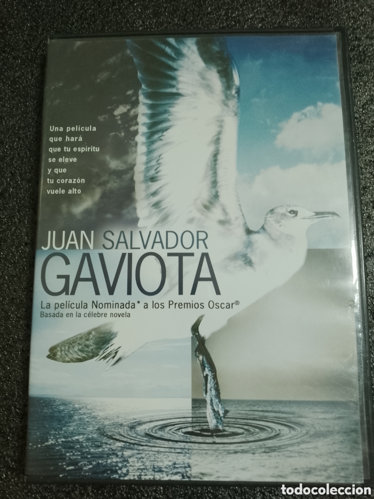Cine: JUAN SALVADOR GAVIOTA - DVD
