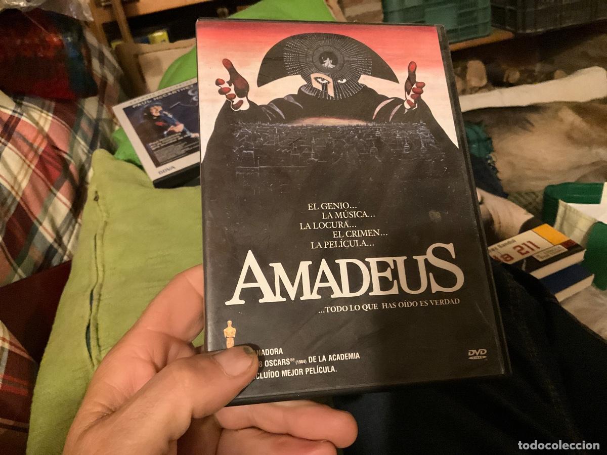 Cine: Amadeus (Milos Forman) Artafri dvd
