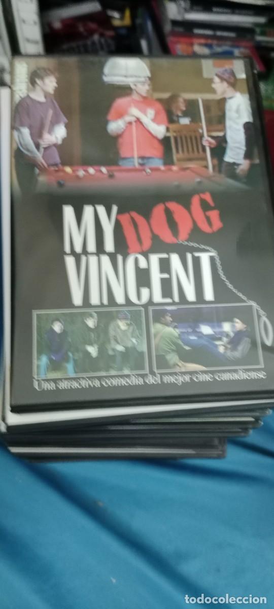 Cine: MY DOG VINCENT DVD CINE MM-DON