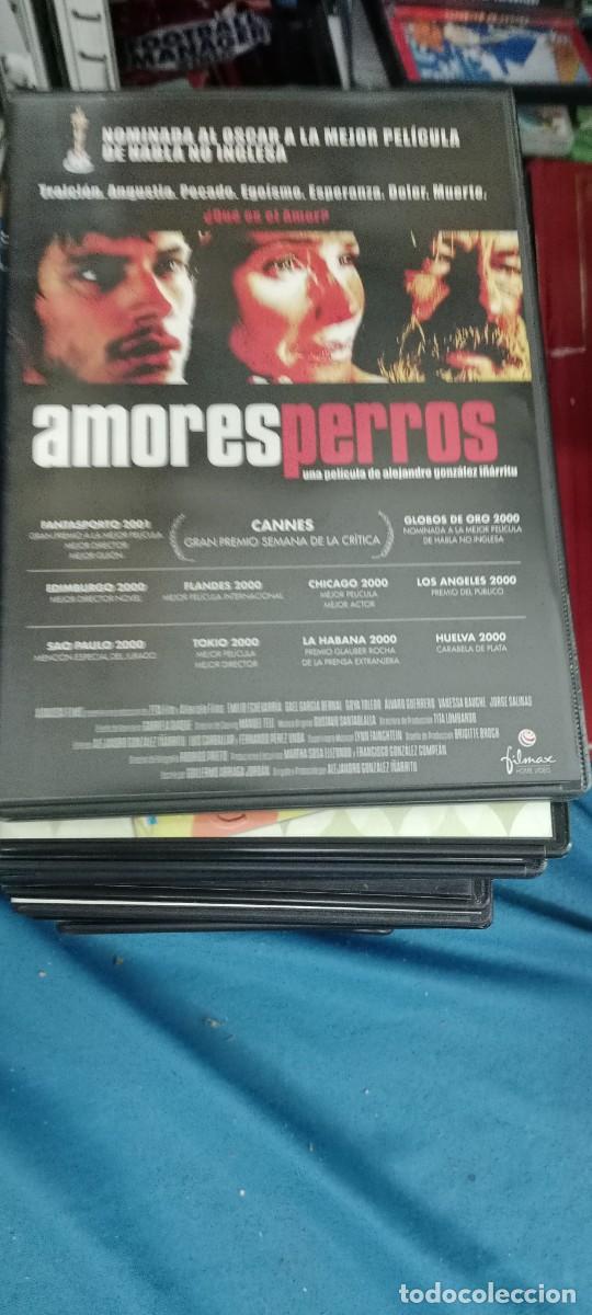 Cine: AMOERS PERROS DVD CINE MM-DON