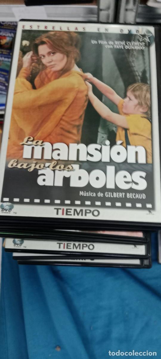Cine: LA MANSION BAJO LOS ARBOLES DVD CINE MM-DON