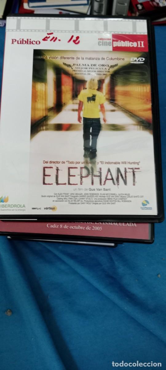 Cine: ELEPHANT DVD CINE MM-DON