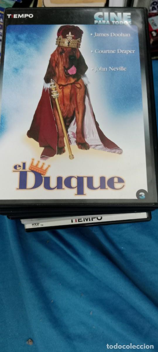 Cine: EL DUQUE DVD CINE MM-DON