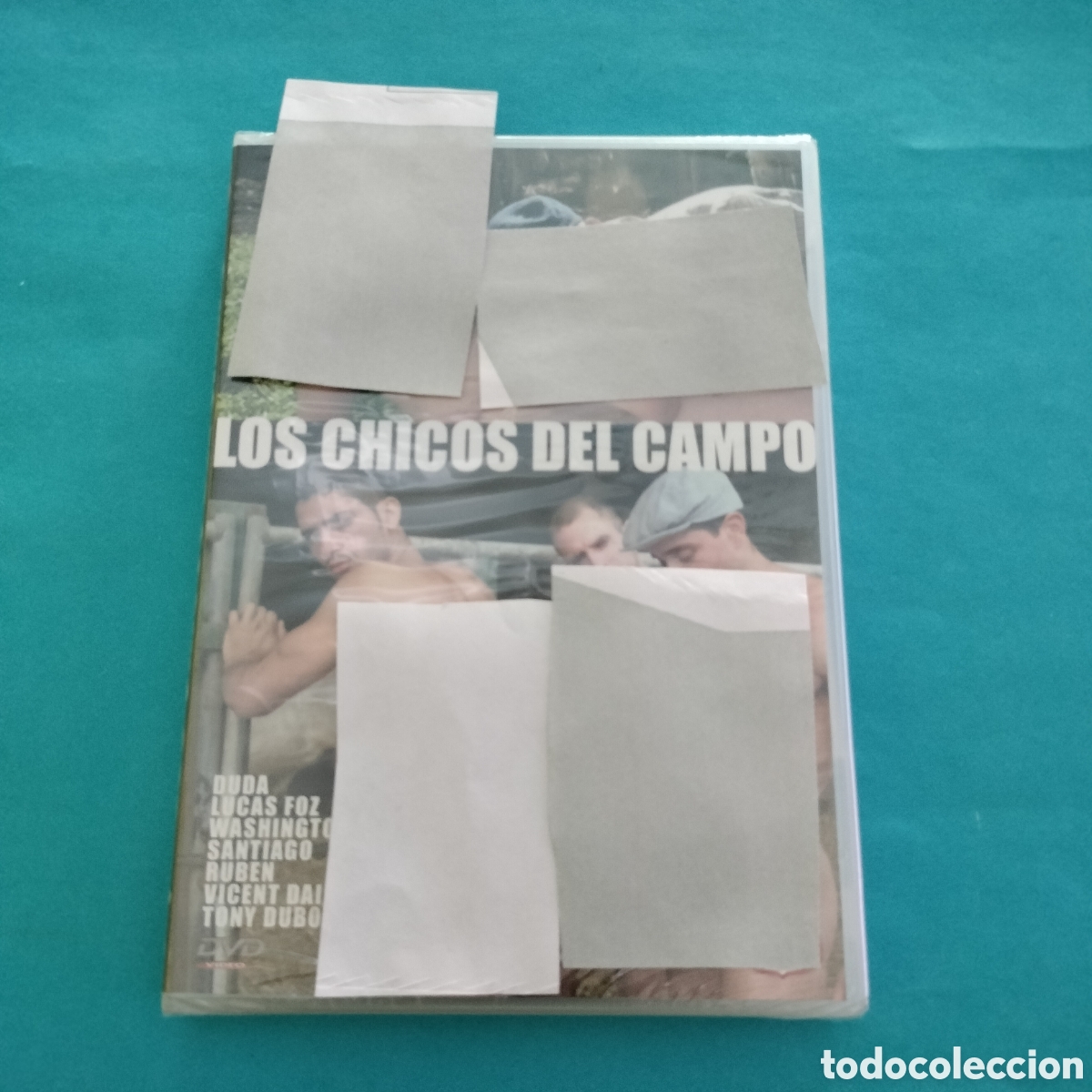 Cine: los chicos del campo cine gay