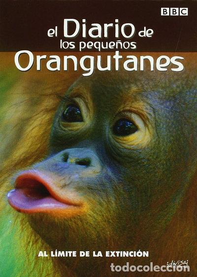 Cine: El diario de los peque&ntilde;os orangutanes- 8421394527072