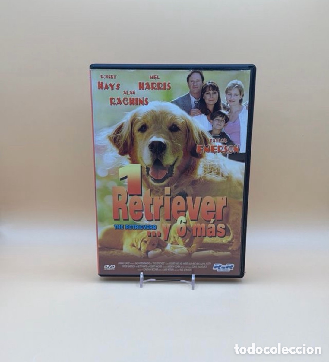 Cine: 2 Retriever y 6 m&aacute;s DVD